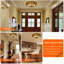 Terenig Glass Flush Mount