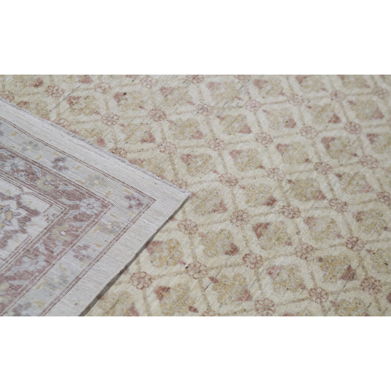 Ziegler Wool Oriental Area Rug in Beige