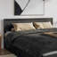 Lit plateforme Astley-302087017-280785414