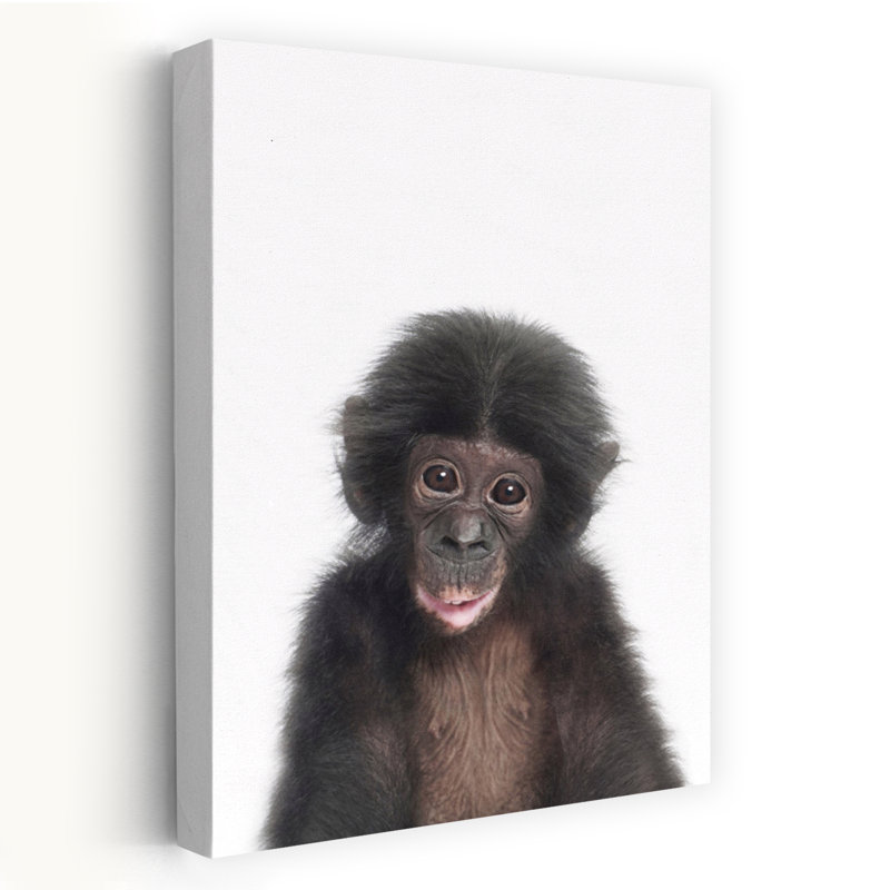 Art contemporain singe contemporain, H 60 po x l 40 po