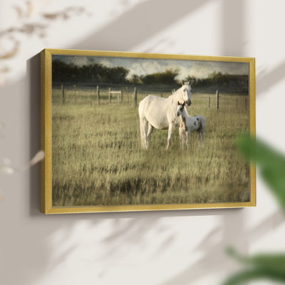 Mare and Colt -Framed Print - Restickable