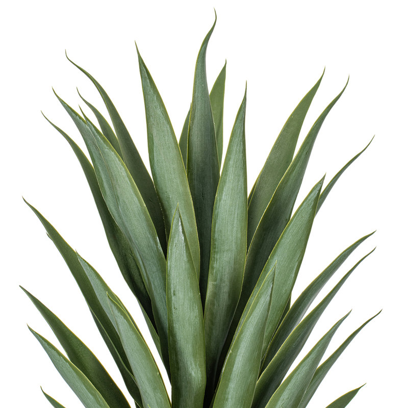 Vickerman 35" Green Yucca Stem.