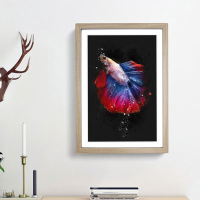 Siamese Fighting Fish - Picture Frame Graphic Art Print