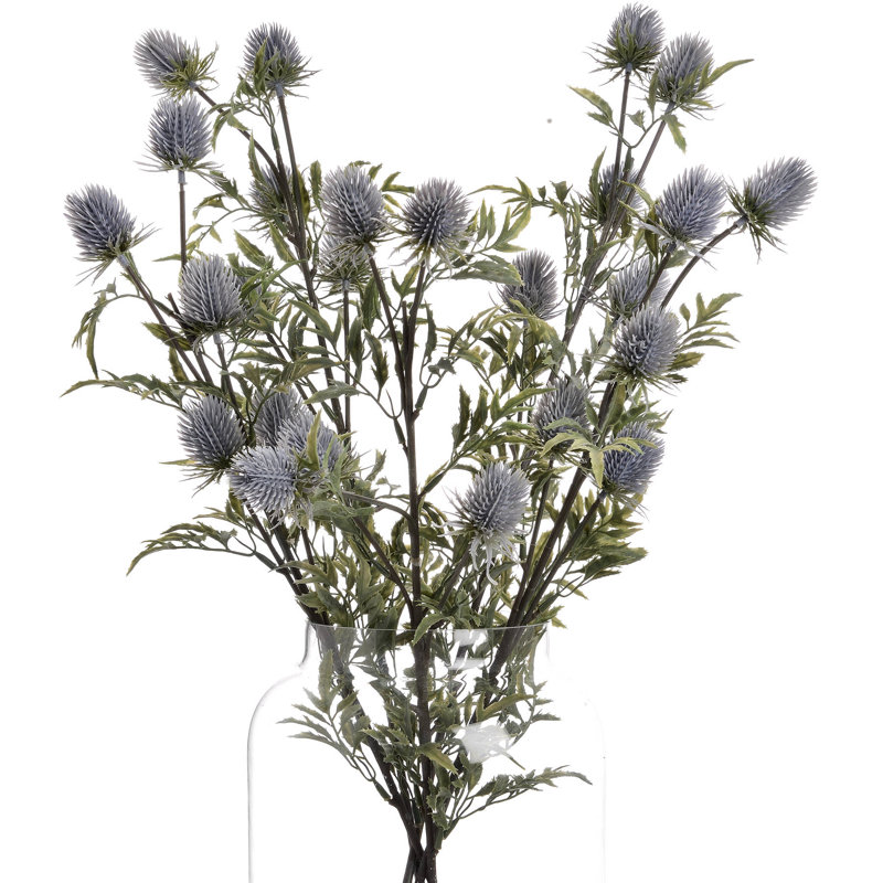 Anastasija Arrangement