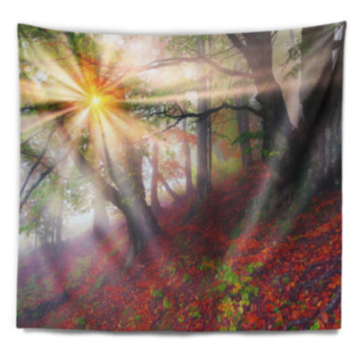 Polyester soleil dans la forêt après une tapisserie d’orage lourde avec accessoires suspendus inclus Landscape