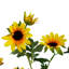 Artificial Arrangement