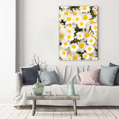 Daisy Flowers - Wrapped Canvas Print