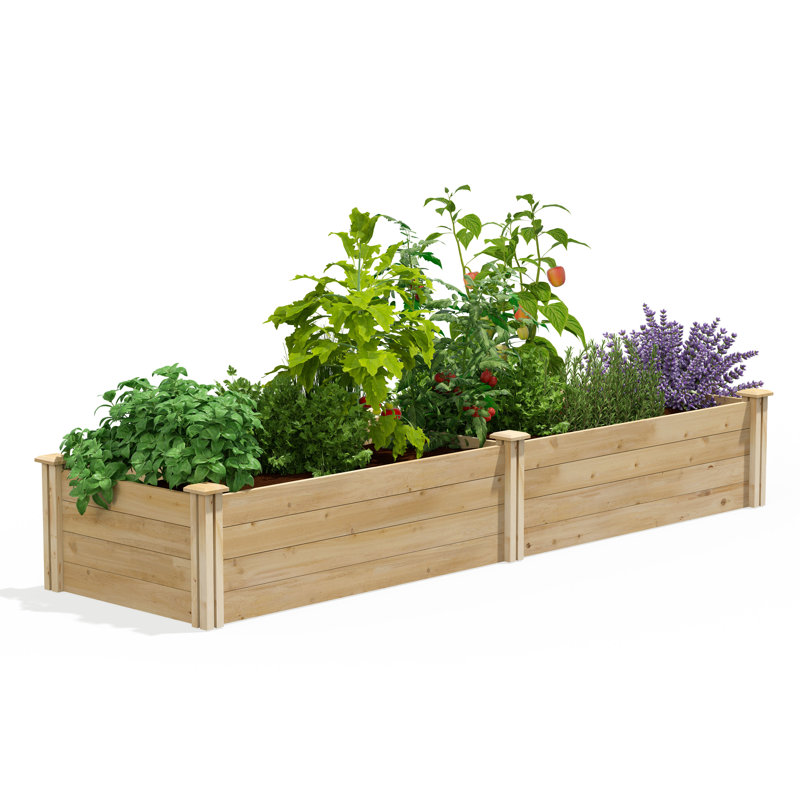 Original Cedar Raised Garden Bed, 14" H x 96" W x 24" D