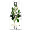 Horloge murale Botanicals IV-1435069417