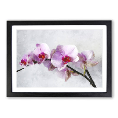 Orchid Flowers Vol.5 - Picture Frame Painting