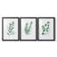 Freshly Picked I - Ensemble de 3 reproductions de cadres photo-456555362-456555368