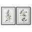 Impression encadrée Shabby Elegance Botanical I-Premium - prête à être accrochée - aucun clou requis - aucun clou requis-1992462121-1992462129