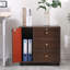 Ladessa 60cm Wide 3 -Drawer Mobile File Cabinet-1784371