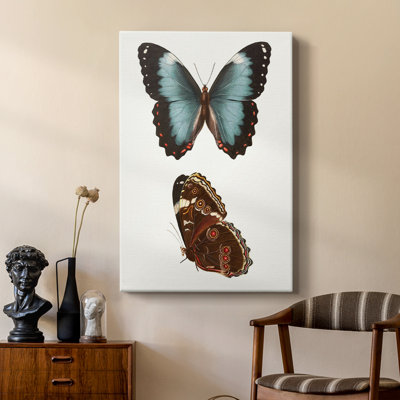Papillons bleus antiques IV - galerie Cavas sur mesure