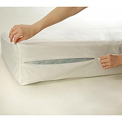 Biggins Waterproof Zipper Mattress Protector Mattress Protector Case Pack