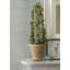 Rouleau de papier peint Princeton-234442867