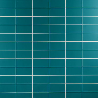 Tori Border Ceramic Subway Tile