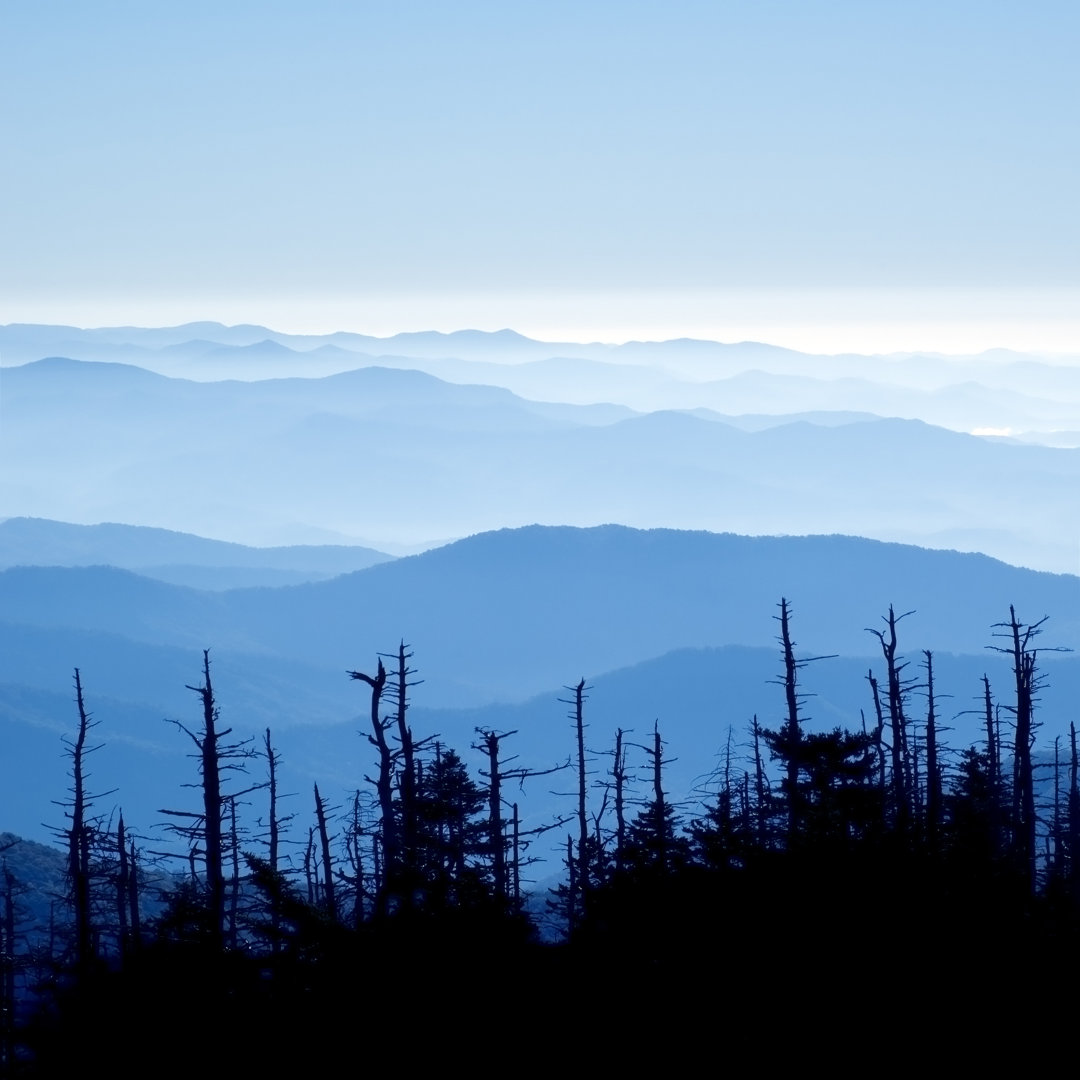 Burchinal Smoky Mountains National Park - Leinwandfoto gewickelt