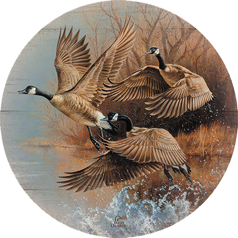 Panneau mural rond décoratif en bois « Prise d'envol » de 53 cm (21 pouces).
