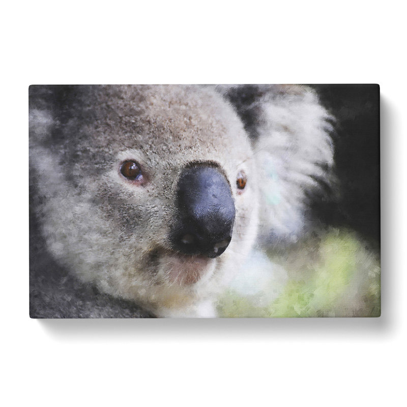 Koala Bear Vol.2 - Wrapped Canvas, 40cm H x 60cm W x 3cm D