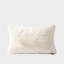 Ensemble de 1 housse de coussin de luxe en fausse fourrure de chinchilla de luxe, 20 po x 20 po-125421071-125421074