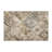 Eternal Legacy Indoor And Outdoor Area Rug-1279879471