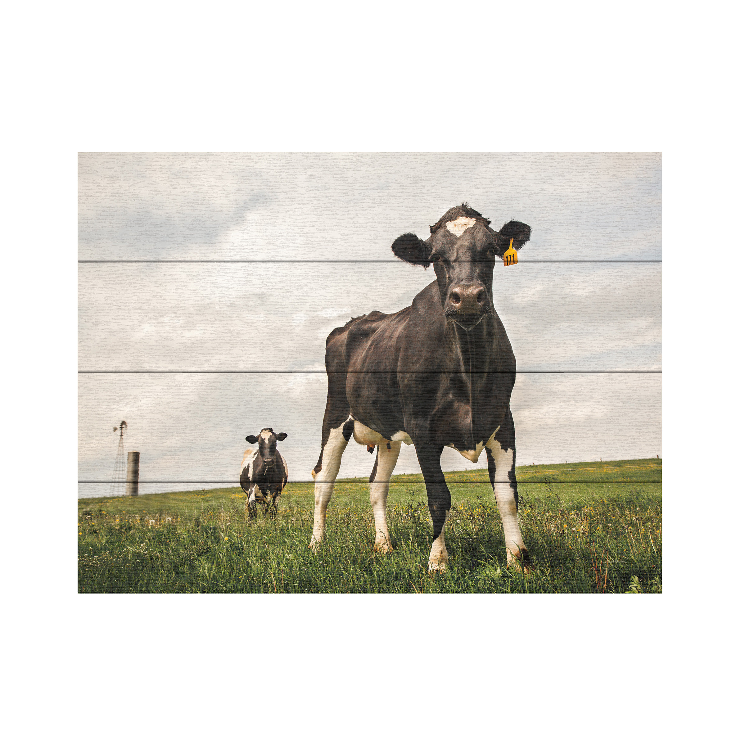 Trademark Fine Art Aledanda 'Waiting Color' Wood Slat Art | Wayfair