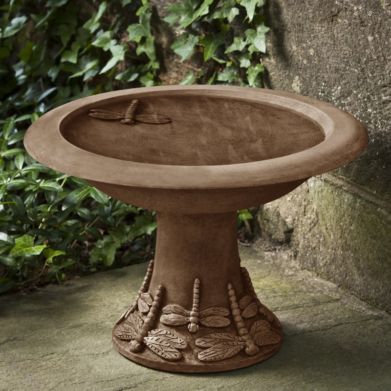 Petit bain d'oiseaux libellule, Pierre calcaire vieillie