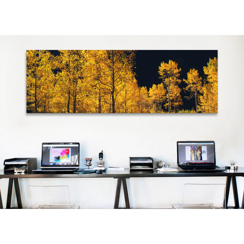 «Panoramic Aspen Trees in Autumn, Colorado, USA», reproduction de photo sur toile, H 20 po x l 60 po x P 1,5 po