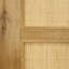 Alondria Oak with Rattan Barn Door-23087075