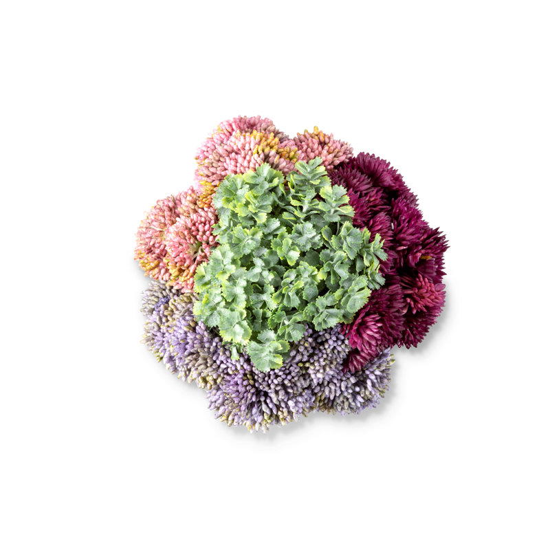 Leigh Sedum Arrangement