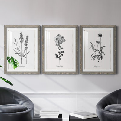 " Simply Imperial " 3 Piece Art Painting