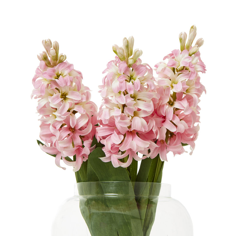 Hyacinth Stem, Pink