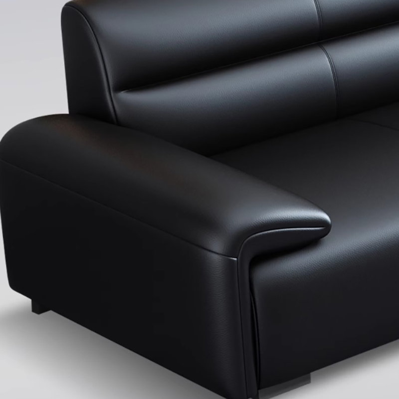 Modern elegant beautiful business sofa