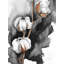 Fleurs de coton sur fond noir, reproduction sur toile-98495251