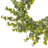 22" UV Eucalyptus Wreath-2004359204