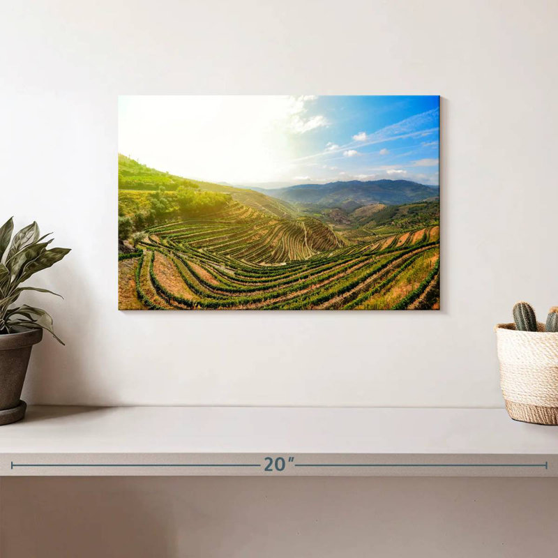 Alvord Douro Valley Morning, H 8 po x l 12 po