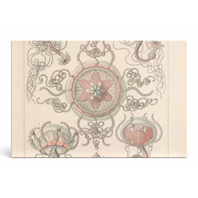 Art textuel sur toile, "Tafel 26 - Trachomedusae" (1904)