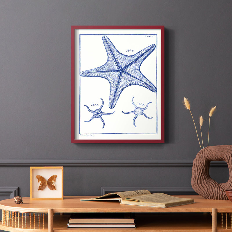 Blue Sea Stars VII, reproduction encadrée - bois massif, Rouge, H 10 po x l 8 po