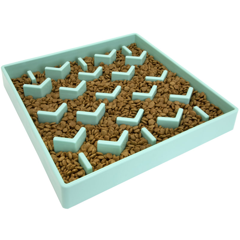 Slow Feeder