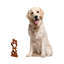 Figurine Coralia