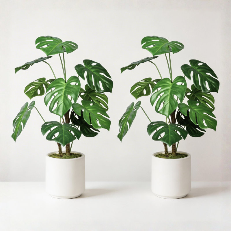 30 "Real Touch Monstera Deliciosa plante dans un pot à fleurs blanc avec surface décorative mousse