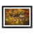 Black Framed selected