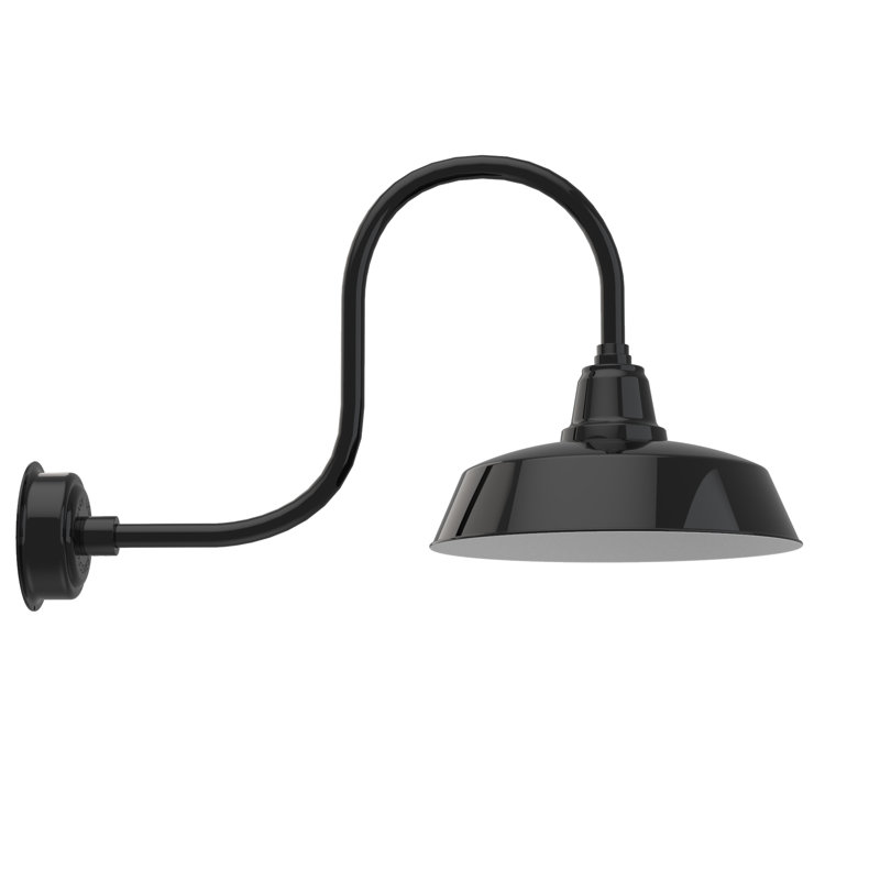 Luminaire de grange d'extérieur à DEL Vandervliet, H 9 po x l 16 po x P 17 po, Noir