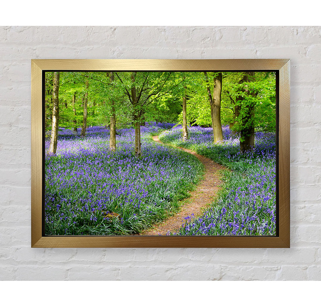 Spaziergang durch den Bluebell Path - Drucken