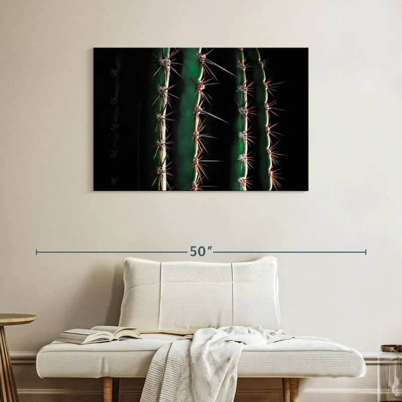 Gros plan d'un cactus épineux, H 26 po x l 39 po