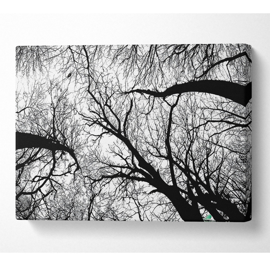 Pecan Grove Schwarz und Weiß - Kunstdrucke auf Leinwand - Wrapped Canvas