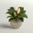 12'' Faux Flowering Plant in Ceramic Planter