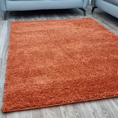 Krisalyn Solid Colour Shag Area Rug