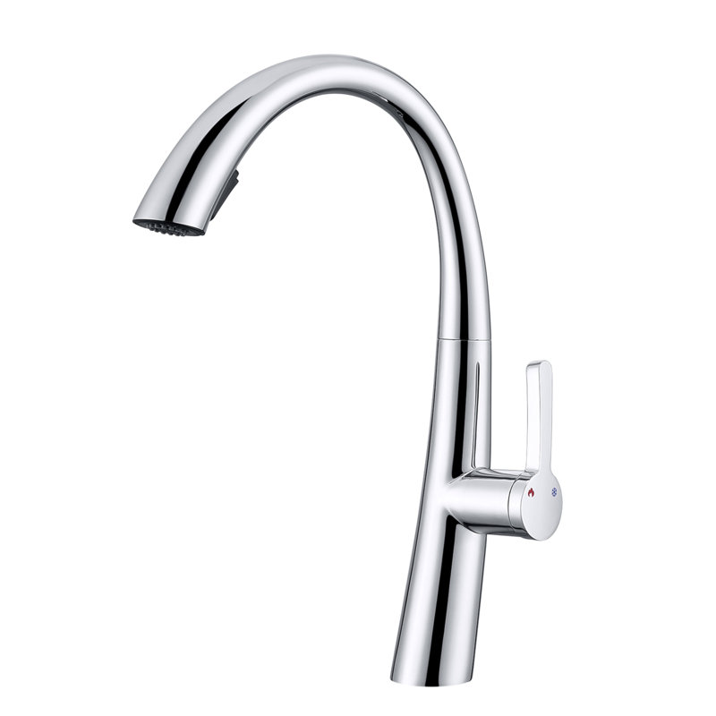 Stainless Steel Pull Out Kitchen Faucet, Chrome